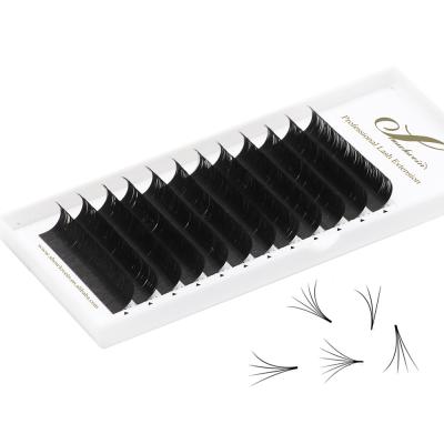 China Showlovein Lightweight High Quality Easy Fan Lashes Luxury Matte 0.03mm Eyelash Extensions for sale