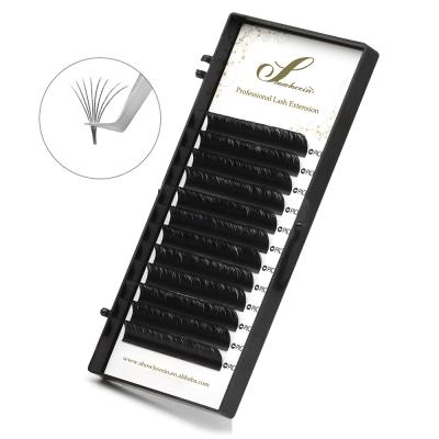 China natural soft & Quick False Mink Eyelashes Extension Lashextensions Fan Showlovein Fan Light Easy Volume Eyelashes Supplies for sale