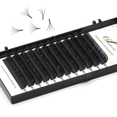 China natural soft & 0.03 0.05 0.07 0.10mm Light Custom Fast And Easy Private Label Fans Easy Fan Eyelash Extension for sale