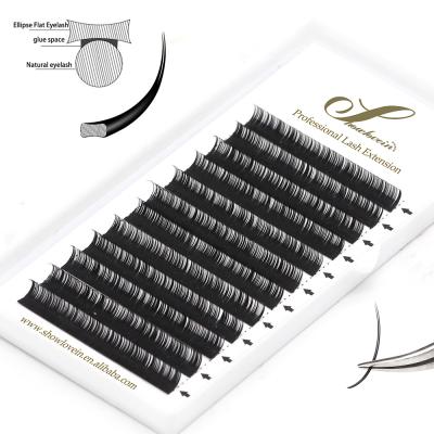 China Light False Mink False Eyelashes Extension Supplies Lash Extension Matte Ellipse Flat Wholesale Private Label for sale