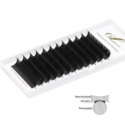 China Light Ellipse Matte Flat Fan Lash Extension Jet Black Split End Natural Soft 0.25 Curls for sale