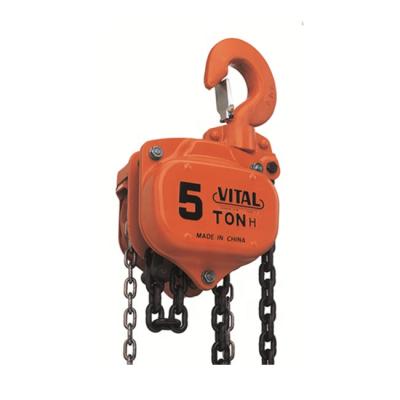 China Type 5 Ton Manual Chain Hoist /Hand Hotels HS-VT Chain Hoist for sale