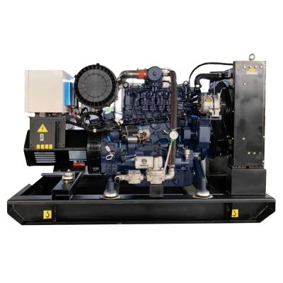 China Cummins Engine PLG-250GF Powered Biogas Engine Generator 250kw Price for sale