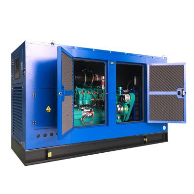 China Open Type Silent Type Three Phase Large Size Industrial Green Power AC Biogas Methane Generator PLG-200GF for sale