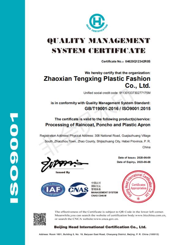 ISO9001 - Zhaoxian Tengxing Plastic Fashion Co., Ltd.