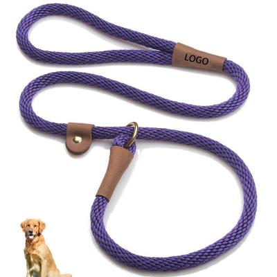 China Hot Sale Amazon Logo High Quality Pet Dog Custom Detached Slip Leash Combo Soft Dog Chain Leash Customize Dog Advance for sale