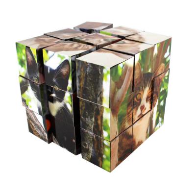 China Interactive cartoon toy personalized display printing tournament custom puzzles magic cube set for anti-anxiety for sale