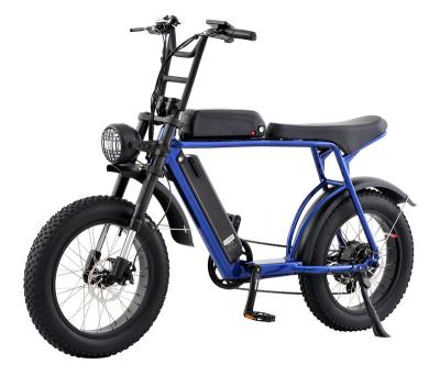 China Aluminum Alloy 20 Inch 500W 750w Super Dual Battery Fat Tire Electric Snow Bike for sale