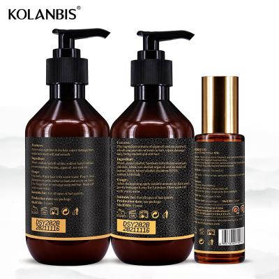 China Natural Organic Argan Oil Color-Protecting Morocco Hair Shampoo and Conditioner Mild Set for Hair Products for sale