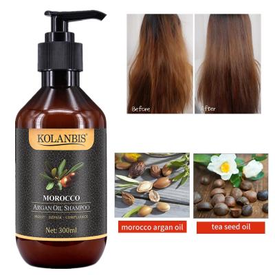 China Moroccan Pure Wholesale Nourishing Argan Oil Shampoo Sulfate Free by KOLANBIS for Dry Damaged Brittle Hair for sale