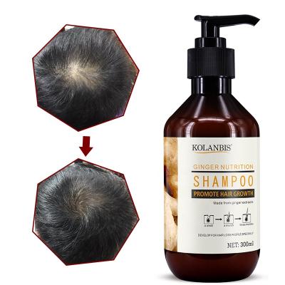 China Hot Sale Hair Growth Shampoo From Old Loss Prevention Ginger Effective Extracts Ginger Shampoo Vietnam KOLANBIS for sale