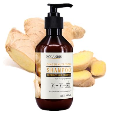 China Ginger Shampoo Promote Healthy Hair Products Featured Hair Loss Prevention Hair Care Products Anti Growth Hair Loss for sale