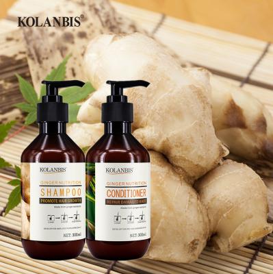 China Loss Prevention Ginger Shampoo And Conditioner Help Hair Growth Herbal Extract for sale