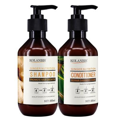 China Natural Hair Color-protecting Anti-hair Loss Lotion Ginger Shampoo Herbal Scalp Care and Conditioner Set for Hair Care for sale