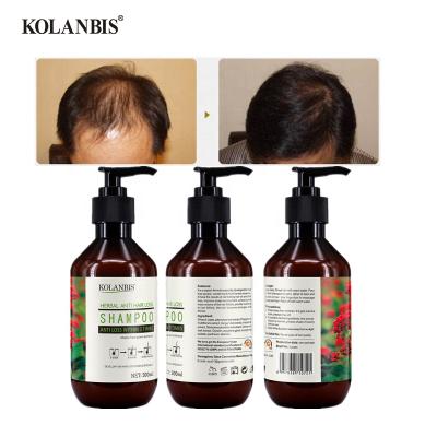 China Loss Prevention Private Label Service Chinese Factory Vegan Herbal Hair Growth Shampoo for sale