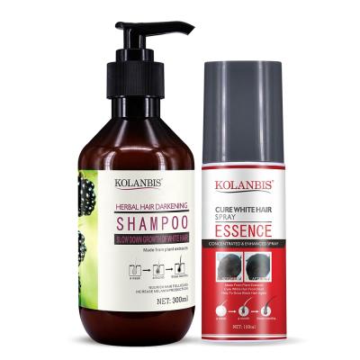 China Color-Protecting Private Label Black Mulberry Shampoo And Black Hair Liquid Set 100% Natural Hair Easy To Regain Natural Black Hair for sale