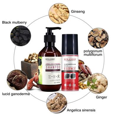 China Hot Sale Ammonia Free Fast Lasting Color Natural Herbal Black Hair Shampoo Color-Protection Private Label Magic Fast Set for sale