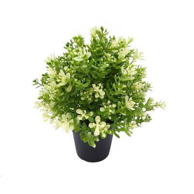 China Realistic/Long Lasting Potted Artificial Grass in Plastic Pots for sale