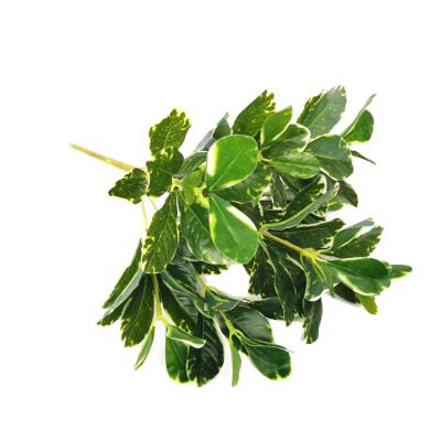 China Professional Green Realistic/Long Lasting Artificial Leaves Lower Price Hot Sale For Decor for sale