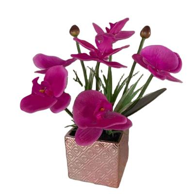 China Lifelike/Long Lasting Potted Artificial Bonsai Flowers Orchid In Flower Pot Ceramic Artificial Grass Arrangement For Home Decor for sale