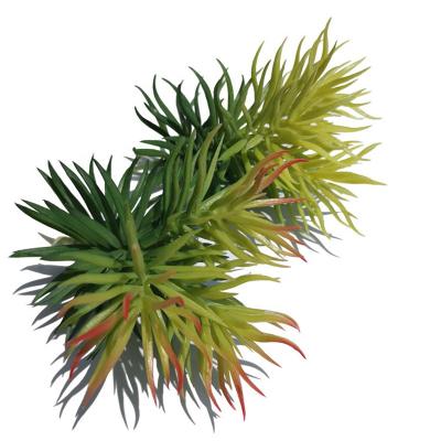 China Lifelike/Long Lasting Artificial Colorful Succulent Plants Stem Carnation Grass Plastic Fake Cactus Succulents Flower For Garden Decoration for sale