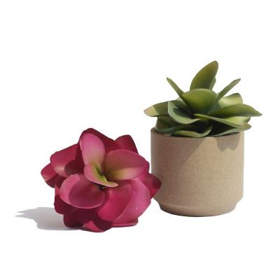 China Wholesale Artificial Succulent Plants Lifelike / Long Lasting Plants Plastic Rose Succulents Flower For Garden Decoration for sale