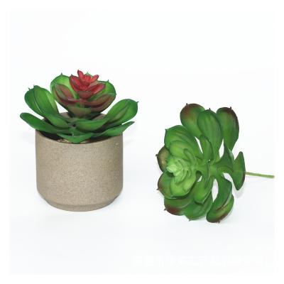 China New Design Fake Flower Artificial Succulent Lotus Plants Realistic/Long Lasting Plastic Plant For Home Decor for sale