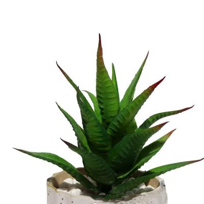 China Realistic/Long Lasting Succulent Bonsai Plants Manufacturer Fake Beautiful Aloe Fake Artificial Succulent Plant For Home Decoration In Stock for sale