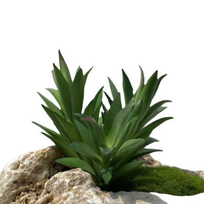 China New Design High Quality Artificial Succulent Plants Real Fake Grass Layout Realistic Plant / Long Lasting Fake Plant Touch In Stock for sale