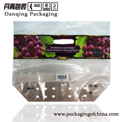 China Bolsos de empaquetado modificados para requisitos particulares de la fruta fresca con el agujero de perforación en venta