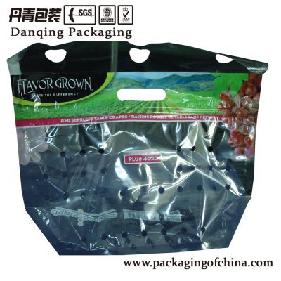 China Moisture Proof Plastic Fruit And Vegetable Packaging Pouch With Zipper for sale