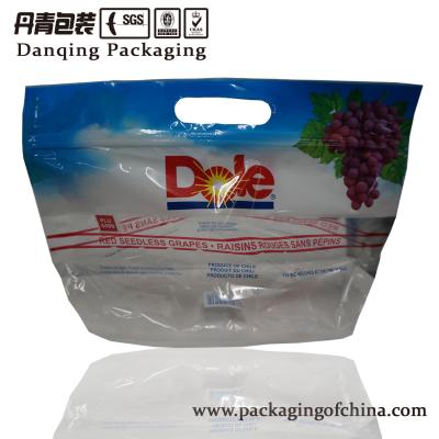 China Vivid Printing Food Grade Ziplock Fruit Packaging Bags, Leak Proof, Approved ISO for sale