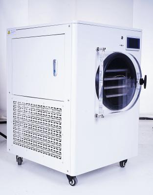 China High Efficiency Low Cost Cold Air Freeze Dryer Machine Freeze Drier Vegetables in Philippines for sale