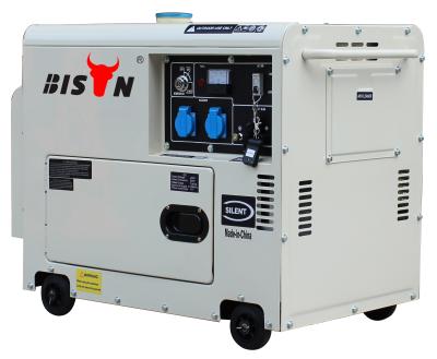 China BISON(CHINA) BS3500DSE 178F 7HP 3Kva diesel engine portable generator with BS3500DSE price for sale