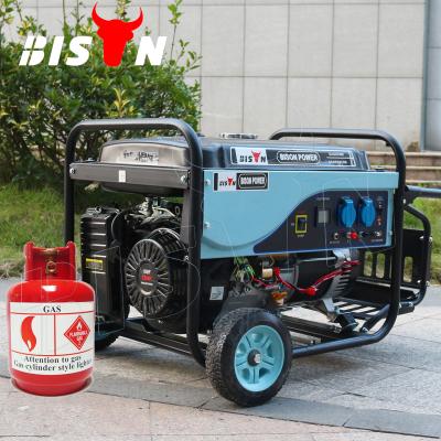 China BISON(CHINA) 5kw 5000w air cooled electric start power portable natural gas generator prices in Pakistan BS6500P(H) for sale