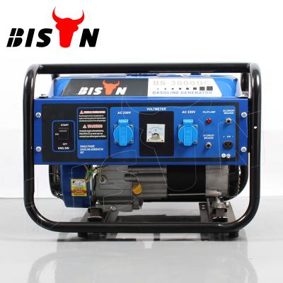 China BISON (CHINA) Gasoline Generator Lpg Gas Generator Lutian Gasoline Generator For Spain BS3000DC for sale