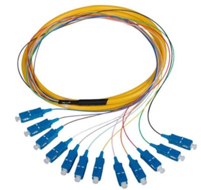 China Chinese Telecom Factory OEM FC SC LC 12 Core Fiber Bundle Singlemode Multimode Optical Pigtail for sale