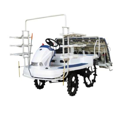 China Best Selling Farms Hot Quality Chalion 6 Rows Upright Rice Planting Machine Paddy Transplanter With Spare Parts Price In Philippines for sale