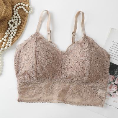 China New Full Cup 2022new Lace Bra Adjustment Female French Light One Piece Shoulder Strap Breathable Comfortable Underwear for sale