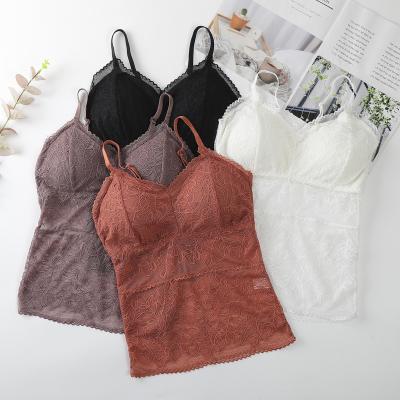 China Factory new one-piece 2022 direct sales lace vest beauty adult breathable soft tube top bra for sale