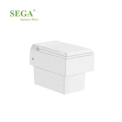 China S-4606W Double-Flow Watermark Wall Hung Toilet amd Wall Mounted Hung Installation Toilet Parts for sale