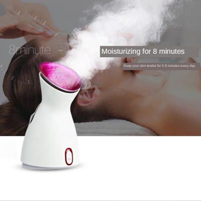 China Family High Quality Skin Care DEEP CLEANSING Facial Steamer for sale