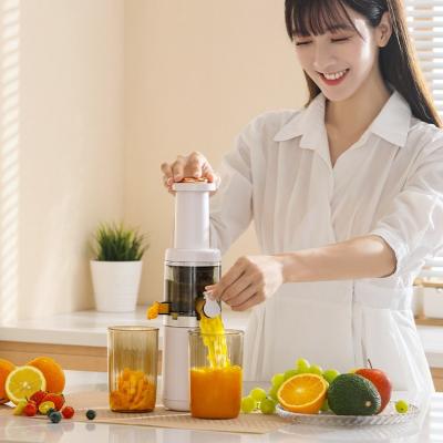 China 625ML Hotel Citrus Juicer Slow Fruit Vegetable Extractors Slow Masticating Juicer Machine Cold Press Juicer For Household Kitchen for sale