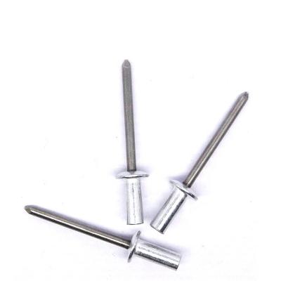 China Multi Functional Hot Sales High Quality Stainless Steel Aluminum Closed Micro Blind Rivet Use for sale