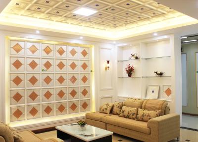 China Interior Decorating Ceiling Panels Artistic Tiles for Living Room , SGS Test for sale