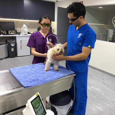 China 15W Multi-wavelength Veterinary Laser Therapy Equipment Berylas 15W for sale