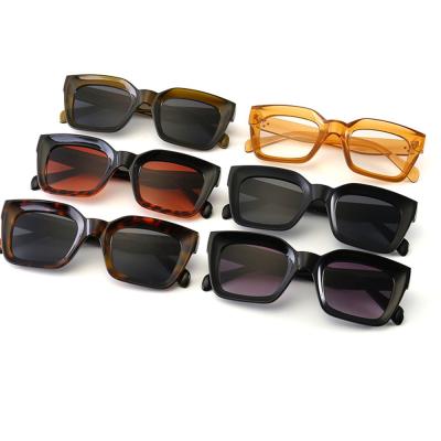 China Fashion Sunglasses Classic Square Cat Eye Thick PC UV400 Sunglasses With Metal Dots Decoration In Stock For Men And Women for sale