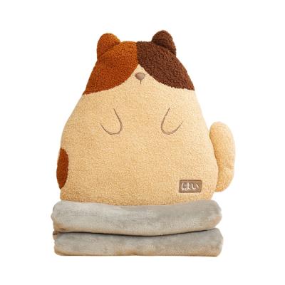 China Anti Static Cheap Price 700g Weight Cartoons 2 In 1 Pillow Cover With Zipper for sale