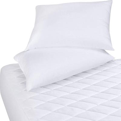 China Single Knitted Waterproof Hypoallergenic 100% Polyester Wear Free Mattress Protector Cover Breathable Vinyl for sale