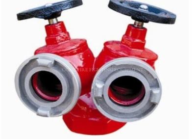 China Fire Hydrant For Sale SNSS 65 for sale